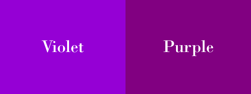 viola in inglese: violet vs purple